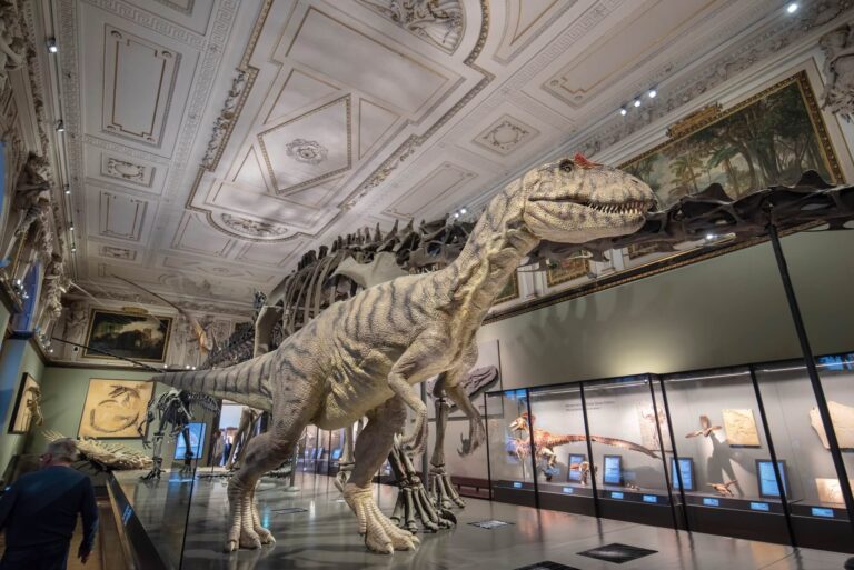 Přírodovědné muzeum ve Vídni (Naturhistorisches Museum Wien)